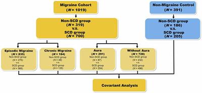 Genetic Variants Associated With Subjective Cognitive Decline in Patients With Migraine